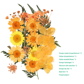 Good Healthy Pressed Flower Mixed Dried Flowers DIY Art Floral Decors Collection Gift Craft DIY
Good Healthy Pressed Flower Mixed Dried Flowers DIY Art Floral Decors Collection Gift Craft DIY