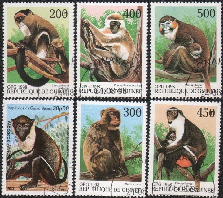 6Pcs/Set Guinea-Bissau Post Stamps 1998 Monkey Orangutan Wildlife Marked Postage Stamps for Collecting
6Pcs/Set Guinea-Bissau Post Stamps 1998 Monkey Orangutan Wildlife Marked Postage Stamps for Collecting