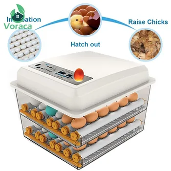 220V 110V Eggs Incubator Brooder Quail Bird Incubator Chick Hatchery Poultry Tool Hatcher Turner Automatic Tools Farm Incubation
220V 110V Eggs Incubator Brooder Quail Bird Incubator Chick Hatchery Poultry Tool Hatcher Turner Automatic Tools Farm Incubation