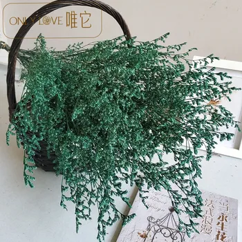 Eternal qing ren cao Dried Flowers Bouquet Real Flowers Living Room Home Soft Decoration
Eternal qing ren cao Dried Flowers Bouquet Real Flowers Living Room Home Soft Decoration