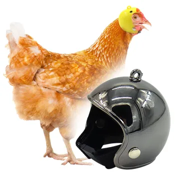 1PC Chicken Safty Helmet PP Funny Convenient and practical Premium Helmets Pet high quality Supplies for Bird Hens Chick Pet
1PC Chicken Safty Helmet PP Funny Convenient and practical Premium Helmets Pet high quality Supplies for Bird Hens Chick Pet
