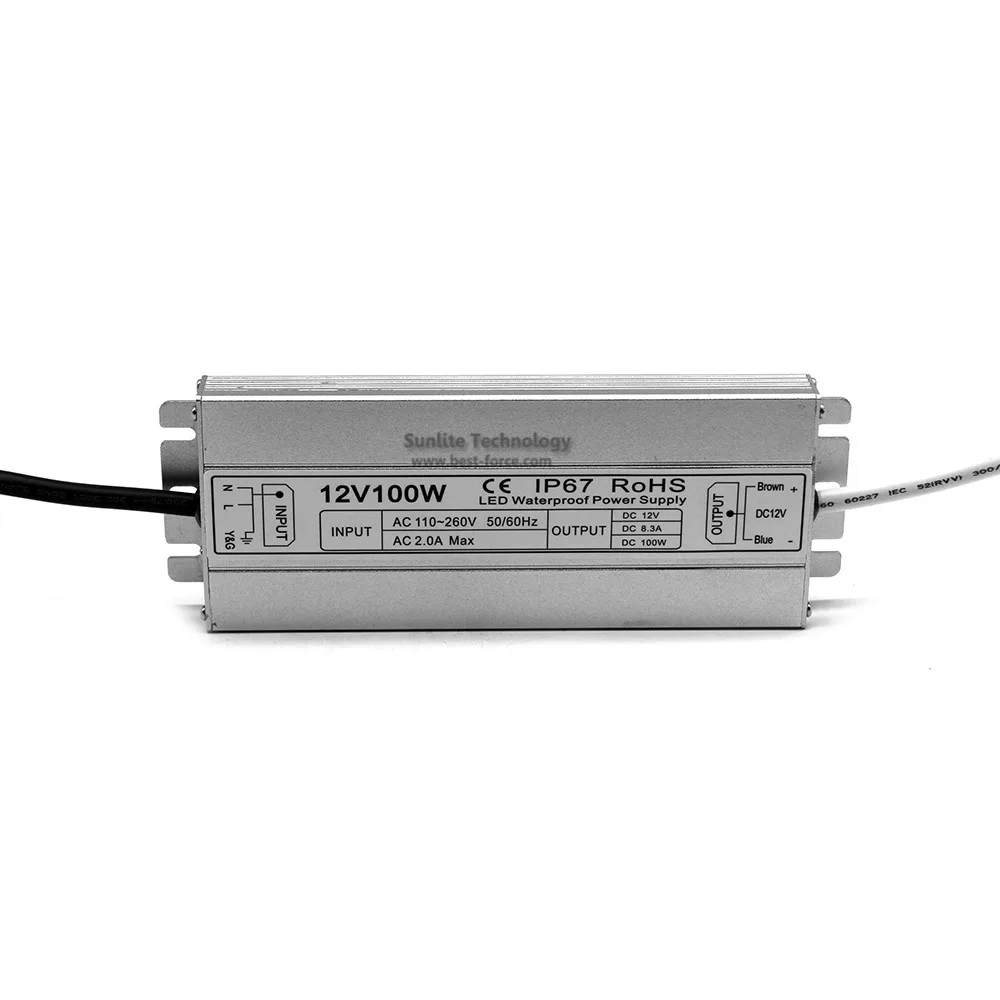 12V100W-1