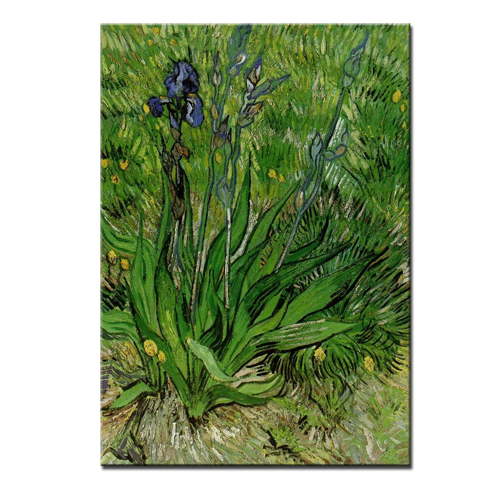 Mintura Hand Painted Vincent Van Gogh Reproduction Impressionist Oil Painting Iris Flower Frameless Art On Canvas For Home Decor | Дом и сад