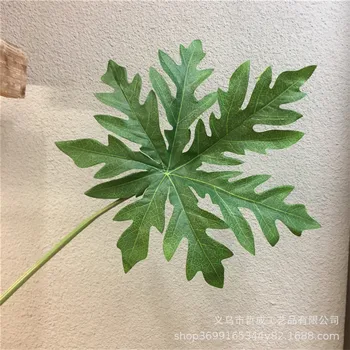 Artificial Flower Ins Wind Leaves Decorative Chloroplastida Back of Turtle Leaves Papaya Leaves Indoor Photo Photographic Prop 
Artificial Flower Ins Wind Leaves Decorative Chloroplastida Back of Turtle Leaves Papaya Leaves Indoor Photo Photographic Prop