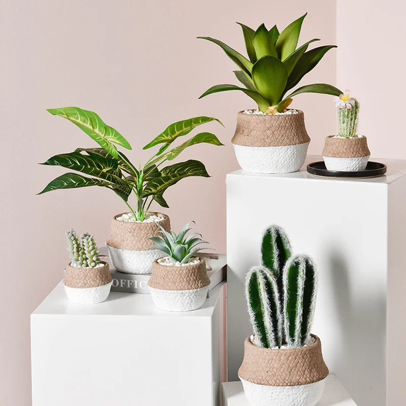 Nordic Creative Cement Crafts Simple Vase Decoration Home Decoration Living Room Flower Arrangement Simulation Potted Plants
Nordic Creative Cement Crafts Simple Vase Decoration Home Decoration Living Room Flower Arrangement Simulation Potted Plants