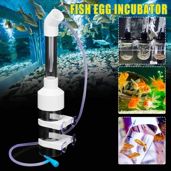 30cmX50mm Fish Egg Incubator Tumbler Aquarium fish farming Cichlid Instead mouth breeder
30cmX50mm Fish Egg Incubator Tumbler Aquarium fish farming Cichlid Instead mouth breeder