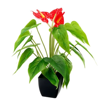 Lifelike Home Decor Studios Potted Hotel Simulation Bonsai Adjustable Shape Office Fake Evergreen Free Standing Artificial Plant
Lifelike Home Decor Studios Potted Hotel Simulation Bonsai Adjustable Shape Office Fake Evergreen Free Standing Artificial Plant