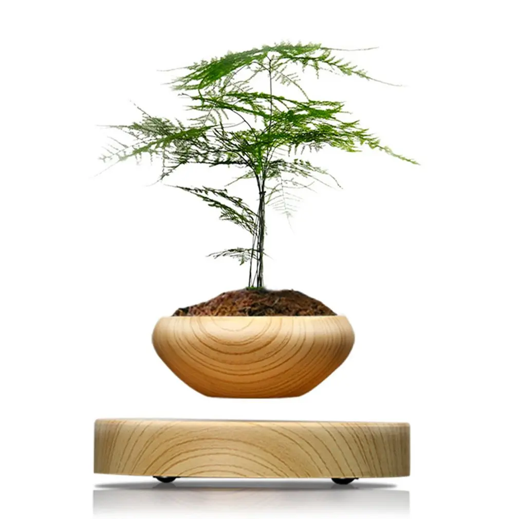 Magnetic Levitation Air Bonsai Suspension Levitating Flower Pot Plant Led Living Room Desktop Decoration
Magnetic Levitation Air Bonsai Suspension Levitating Flower Pot Plant Led Living Room Desktop Decoration