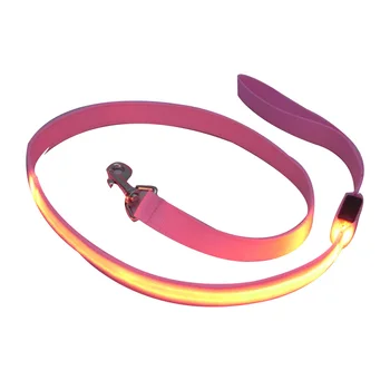 Pet Walking Leash LED Flashing Luminous Dog Outdoor Traction Rope Belt LBShipping
Pet Walking Leash LED Flashing Luminous Dog Outdoor Traction Rope Belt LBShipping