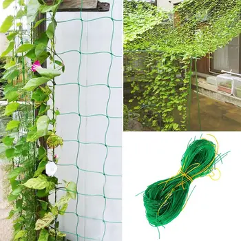 Climbing Frame Gardening Plant Climbing Net High Quality Planting Orchard Useful Plant Net Climbing Net Trellis Netting Fruits
Climbing Frame Gardening Plant Climbing Net High Quality Planting Orchard Useful Plant Net Climbing Net Trellis Netting Fruits