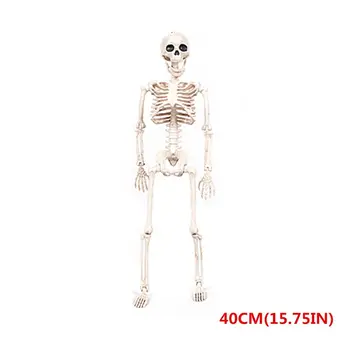Halloween Skeleton 40cm Human Model Halloween Model Thriller Bar Atmosphere Toy Halloween Party Prop Decoration 72XC
Halloween Skeleton 40cm Human Model Halloween Model Thriller Bar Atmosphere Toy Halloween Party Prop Decoration 72XC