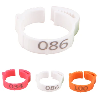 High Quality Plastic 1-100 Numbers Adjustable Reusable Poultry Leg Bands Bird Foots Rings For Pigeons Chicks Bantam Chicken
High Quality Plastic 1-100 Numbers Adjustable Reusable Poultry Leg Bands Bird Foots Rings For Pigeons Chicks Bantam Chicken