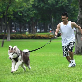 Pet Dog Leash Rope Nylon Training Reflective Lead Dogs Walk Running Leash Cat Strap Traction Dog Harness Collar Glove Type Lead
Pet Dog Leash Rope Nylon Training Reflective Lead Dogs Walk Running Leash Cat Strap Traction Dog Harness Collar Glove Type Lead