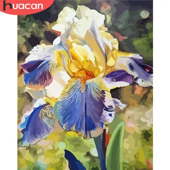 HUACAN Paint By Number Flower HandPainted DIY Gift Kit Drawing On Canvas Oil Painting Picture Wall Art Home Decoration
HUACAN Paint By Number Flower HandPainted DIY Gift Kit Drawing On Canvas Oil Painting Picture Wall Art Home Decoration