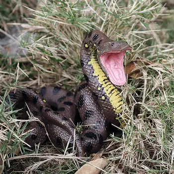 1PC Simulation Rubber Snake Figurine Model Toy Realistic Snake Halloween Kids Prank Prop Animals Model Novelty Funny Scary Snake
1PC Simulation Rubber Snake Figurine Model Toy Realistic Snake Halloween Kids Prank Prop Animals Model Novelty Funny Scary Snake