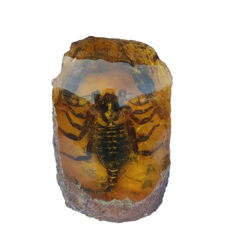 

Exquisite Amber Honey Wax Raw Stone Animal Home Decoration