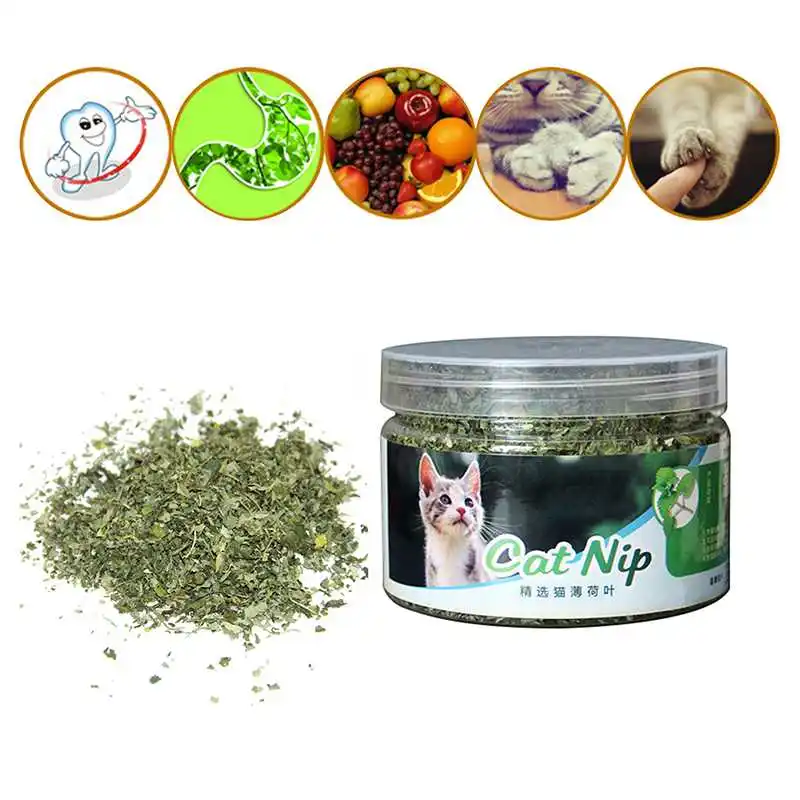 New 100% Natural Organic Premium Catnip Dry Candy Cats Funny Cat Toys Gift Cat Regulates The Stomach Health Supplies
New 100% Natural Organic Premium Catnip Dry Candy Cats Funny Cat Toys Gift Cat Regulates The Stomach Health Supplies