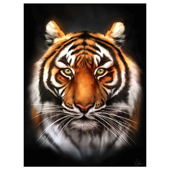 Promotion! DIY 5D Diamond Painting Kit for Adults Diamond Art Kit,Paint with Diamonds Embroidery Painting Cross Stitch-Tiger
Promotion! DIY 5D Diamond Painting Kit for Adults Diamond Art Kit,Paint with Diamonds Embroidery Painting Cross Stitch-Tiger