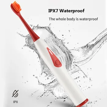New Adult Powerful Rechargeable Electric Toothbrush IPX7 Waterproof High Frequency Vibration With Replacement Toothbrush Head
New Adult Powerful Rechargeable Electric Toothbrush IPX7 Waterproof High Frequency Vibration With Replacement Toothbrush Head