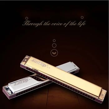 28 Holes Key of C Blues Harmonica Professional Musical Instrument Educational with Case Professional Harmonica
28 Holes Key of C Blues Harmonica Professional Musical Instrument Educational with Case Professional Harmonica