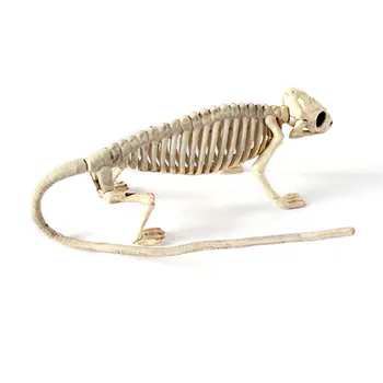 1pc Halloween Horror Animal Decoration Iguana Frog Bat Skeleton Model Haunted House Props Decoration
1pc Halloween Horror Animal Decoration Iguana Frog Bat Skeleton Model Haunted House Props Decoration