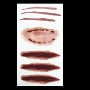 10 Sheets Halloween Waterproof Temporary Tattoo Sticker Horror Realistic Fake Bloody Wound Stitch Scar Scab Cosplay Makeup Props
10 Sheets Halloween Waterproof Temporary Tattoo Sticker Horror Realistic Fake Bloody Wound Stitch Scar Scab Cosplay Makeup Props