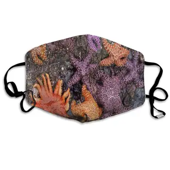 What Color are Starfish Dust Masks Reusable Cotton Breathable for Outdoor Cycling Face Earloop Masks Dust Pollen Allergens
What Color are Starfish Dust Masks Reusable Cotton Breathable for Outdoor Cycling Face Earloop Masks Dust Pollen Allergens