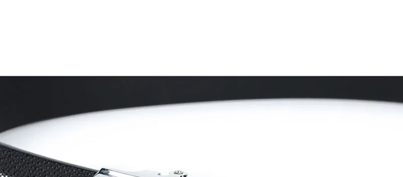 N17FJ745 (3)