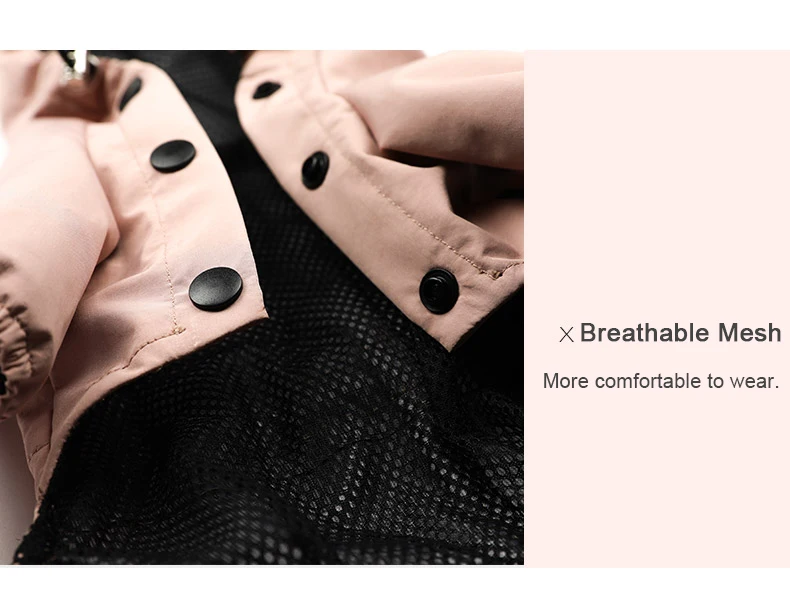 Chaqueta Impermeable para Chihuahua Chaqueta Impermeable para Chihuahua