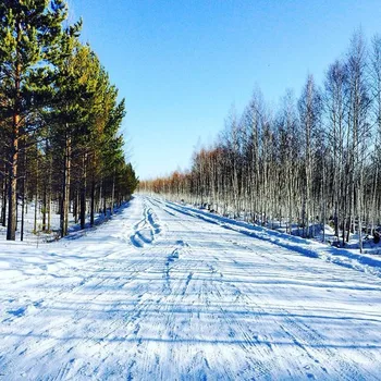 Diamond Embroidery 5D Diamond Painting Winter Birch Landscape DIY 2020 New Home Decoration Wall Mount Diamond Mosaic 30 * 30cm
Diamond Embroidery 5D Diamond Painting Winter Birch Landscape DIY 2020 New Home Decoration Wall Mount Diamond Mosaic 30 * 30cm