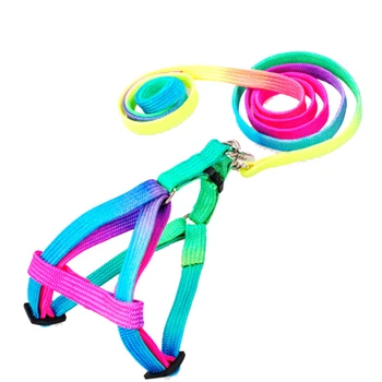 10PCS / LOT Cat Leash Colorful Pet Chest Strap Dog Traction Rope Pet Dog Collar Harness Leash
10PCS / LOT Cat Leash Colorful Pet Chest Strap Dog Traction Rope Pet Dog Collar Harness Leash