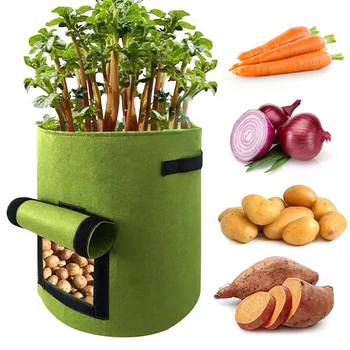 Plant Grow Bags Non-Woven Felt Visible Planting Bag Breathable Potato Tomato Vegetable Moestuin Plant Growth Bag Garden Supplies
Plant Grow Bags Non-Woven Felt Visible Planting Bag Breathable Potato Tomato Vegetable Moestuin Plant Growth Bag Garden Supplies
