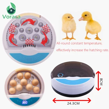 Automatic Eggs Incubator Digital Brooder Poultry Tool Chicken Hatchery Machine One-button Duck Home Egg Breeder Heating
Automatic Eggs Incubator Digital Brooder Poultry Tool Chicken Hatchery Machine One-button Duck Home Egg Breeder Heating