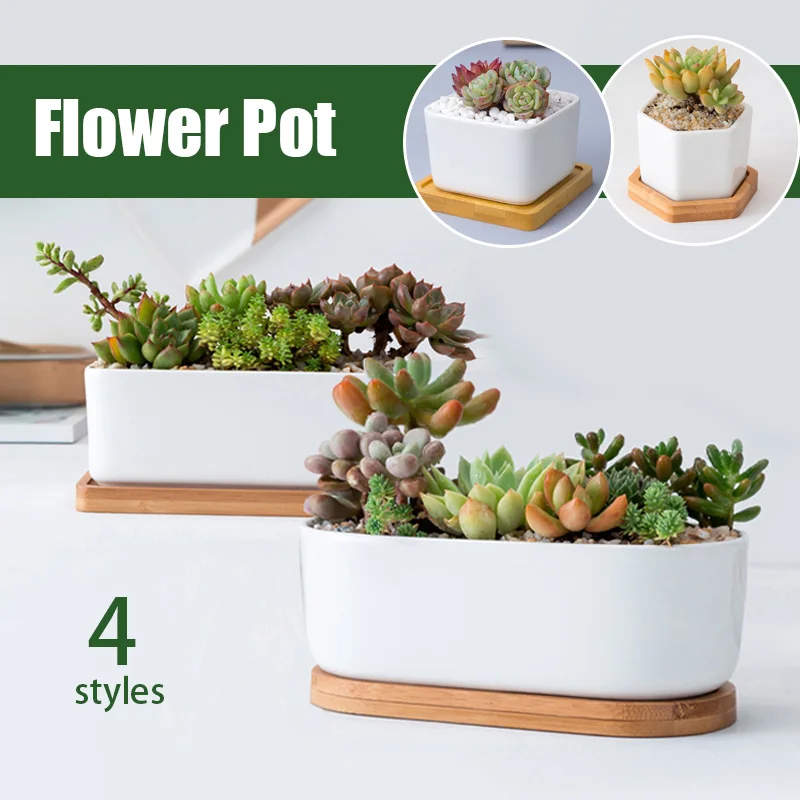 Minimalist White Creative Desktop White Ceramic Flowerpot With Bamboo Tray Succulent Plant Pot Cactus Planter Flower Pot
Minimalist White Creative Desktop White Ceramic Flowerpot With Bamboo Tray Succulent Plant Pot Cactus Planter Flower Pot