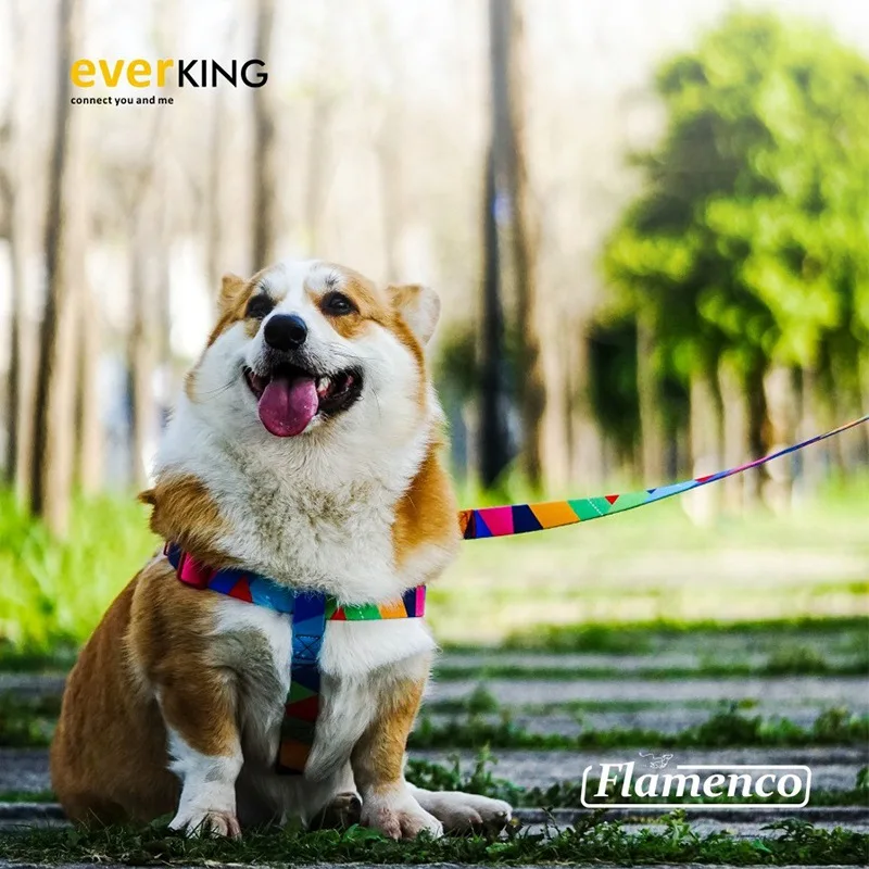 Everking Flamenco Series Dog Harness And Leash Set No Pull Vest Harness Large Dog Rope Teddy Decoration Gift Pet Accessories
Everking Flamenco Series Dog Harness And Leash Set No Pull Vest Harness Large Dog Rope Teddy Decoration Gift Pet Accessories
