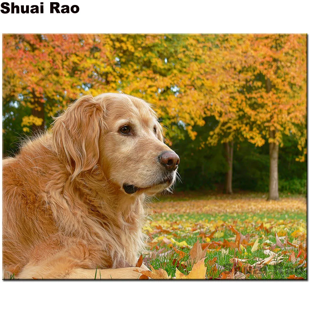 5d rhinestone art,Full square diy 5d diamond painting Golden Retriever Dog Autumn Leaves mosaic cross stitch diamond embroidery,
5d rhinestone art,Full square diy 5d diamond painting Golden Retriever Dog Autumn Leaves mosaic cross stitch diamond embroidery,