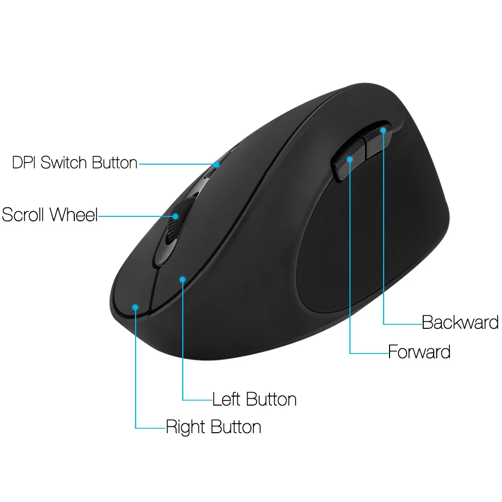 computer mouse