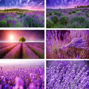 Nitree Sunlight Flower Sea Lavender Kusada Sunset Glow Natural Scenery Backdrop Photo Studio Props Photography Background Vinyl
Nitree Sunlight Flower Sea Lavender Kusada Sunset Glow Natural Scenery Backdrop Photo Studio Props Photography Background Vinyl