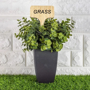 Wooden Potted Seed Sign Tags Marker Garden Flowers Herbs Tray Insert Sticks Easily Carrying Part Eco-friendly Tool
Wooden Potted Seed Sign Tags Marker Garden Flowers Herbs Tray Insert Sticks Easily Carrying Part Eco-friendly Tool
