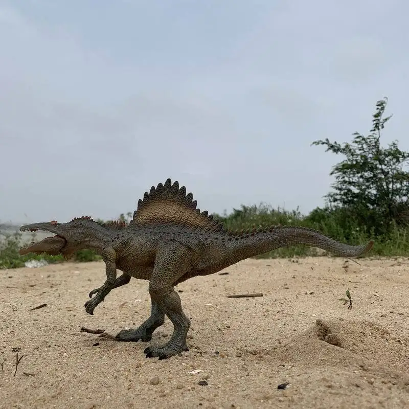 Imitation Dinosaurs Animal Model Large Size Spinosaurus Model Walking Dinosaur Animal Model Morocco Spinosaurus
Imitation Dinosaurs Animal Model Large Size Spinosaurus Model Walking Dinosaur Animal Model Morocco Spinosaurus