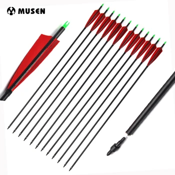 33.5 Inches Carbon Arrow Spine 500 With 1 Black and 2 Red Turkey feather for Recurve Bow Hunting Shooting Archery
33.5 Inches Carbon Arrow Spine 500 With 1 Black and 2 Red Turkey feather for Recurve Bow Hunting Shooting Archery