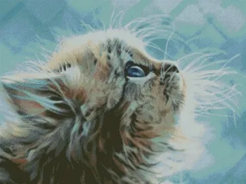 Top Embroidery Counted Cross Stitch Kits Needlework - Crafts 14 ct DMC DIY Arts Handmade Decor - Cat
Top Embroidery Counted Cross Stitch Kits Needlework - Crafts 14 ct DMC DIY Arts Handmade Decor - Cat