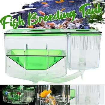 Protection Safe Spawn Baby Fish Breeding Plastic Isolation Box Tank Incubator Aquarium Nursery Automatic Circulating Hatchery
Protection Safe Spawn Baby Fish Breeding Plastic Isolation Box Tank Incubator Aquarium Nursery Automatic Circulating Hatchery