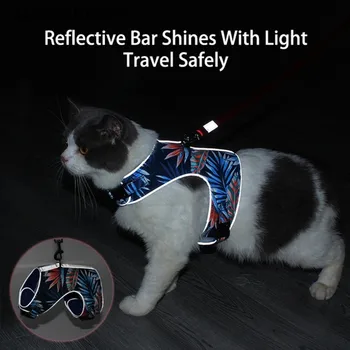 2020 New Cat Traction Rope Vest-style Cat Chest Harness Rope Walking Reflective Anti-fall Anti-stroke Traction Pet Leash Rope
2020 New Cat Traction Rope Vest-style Cat Chest Harness Rope Walking Reflective Anti-fall Anti-stroke Traction Pet Leash Rope