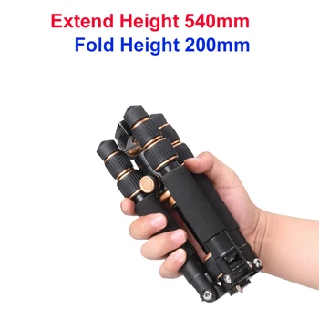 Portable Desktop Mini Tripod with Ball Head Quick Release Plate for SLR DSLR Digital Camera Smartphone Video Camcorder
Portable Desktop Mini Tripod with Ball Head Quick Release Plate for SLR DSLR Digital Camera Smartphone Video Camcorder