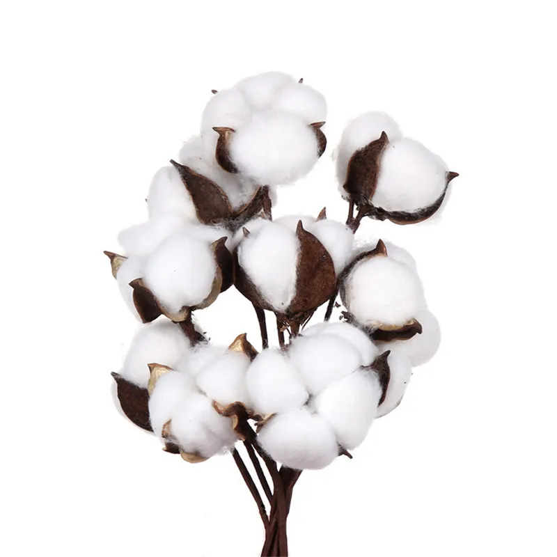 10pcs/lot Artificial Flower Cotton Flower Branch Wedding Home Christmas Decoration Photography Props 6 colors
10pcs/lot Artificial Flower Cotton Flower Branch Wedding Home Christmas Decoration Photography Props 6 colors
