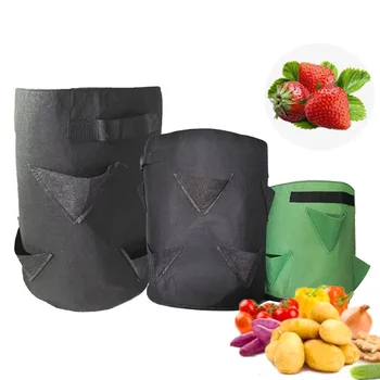 5 7 10 Gallon Garden Strawberry Planter grow Bag flower fabric pots home non woven jardin Flower veg Tomato planting Container
5 7 10 Gallon Garden Strawberry Planter grow Bag flower fabric pots home non woven jardin Flower veg Tomato planting Container