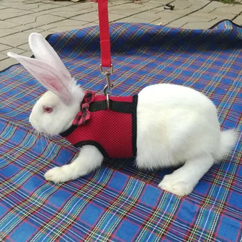 pet vast Rabbits Hamster Vest Harness Bunny Mesh Chest Strap Harnesses Leash Ferret Guinea Pig Small Animals Pets Accessories
pet vast Rabbits Hamster Vest Harness Bunny Mesh Chest Strap Harnesses Leash Ferret Guinea Pig Small Animals Pets Accessories