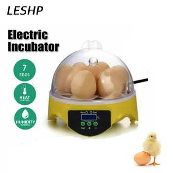 7 small incubator semi-intelligent egg incubators ABS Transparent design Digital display Digital temperature controls
7 small incubator semi-intelligent egg incubators ABS Transparent design Digital display Digital temperature controls