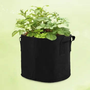 5 Gallon Garden Plant Grow Bag Fabric Pot Potato Grow Bag Garden Vegetables Plant Bags With Handle Garden Grow Pot 
5 Gallon Garden Plant Grow Bag Fabric Pot Potato Grow Bag Garden Vegetables Plant Bags With Handle Garden Grow Pot